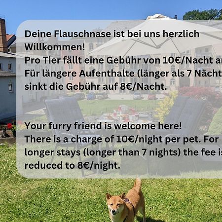 Hw4B - Urlaubsmagie - Zentral Mit Gemeinschaftsgarten, -Pool, -Sauna & Whirlpool Sebnitz Eksteriør billede