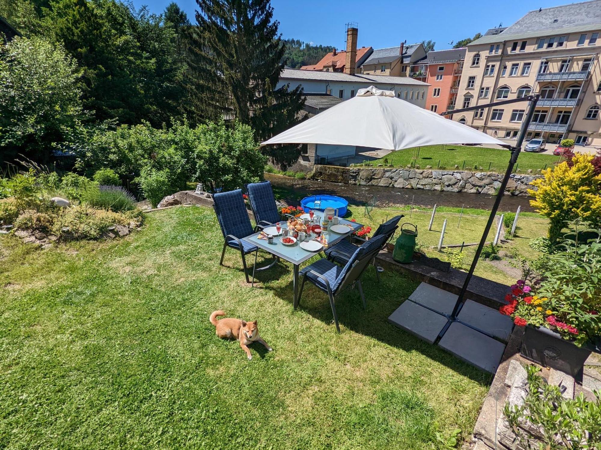 Hw4B - Urlaubsmagie - Zentral Mit Gemeinschaftsgarten, -Pool, -Sauna & Whirlpool Sebnitz Eksteriør billede