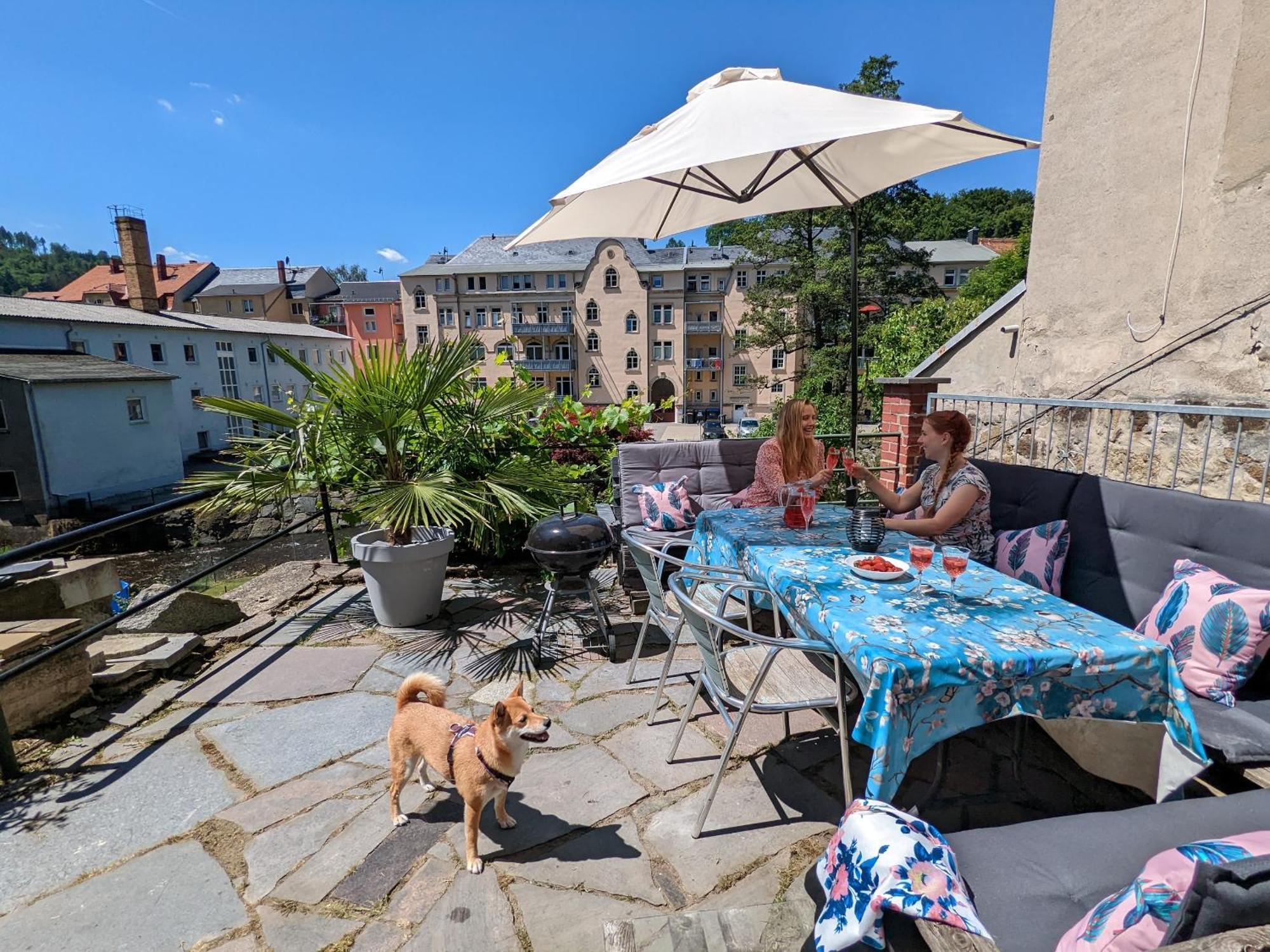 Hw4B - Urlaubsmagie - Zentral Mit Gemeinschaftsgarten, -Pool, -Sauna & Whirlpool Sebnitz Eksteriør billede