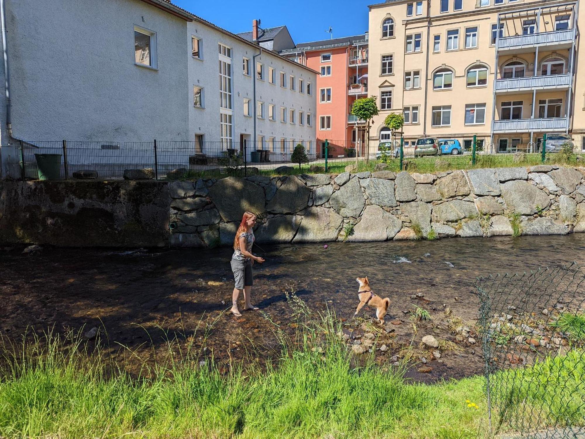 Hw4B - Urlaubsmagie - Zentral Mit Gemeinschaftsgarten, -Pool, -Sauna & Whirlpool Sebnitz Eksteriør billede